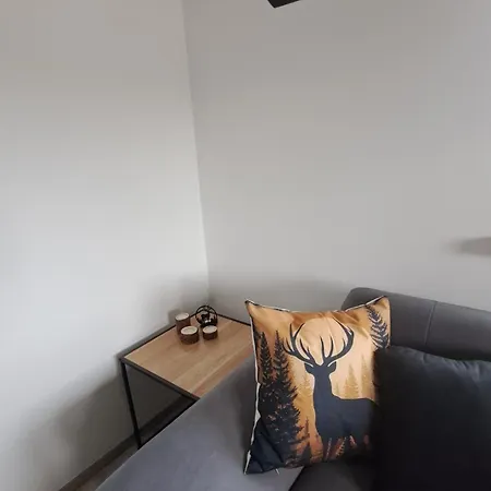 شقة Lesna Polana Wartkowo